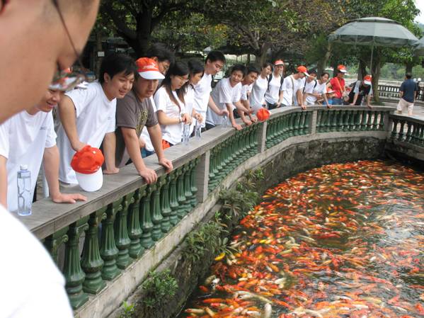 肇庆旅游 - 朗华要闻 - 深圳市朗华供应链效劳有限公司